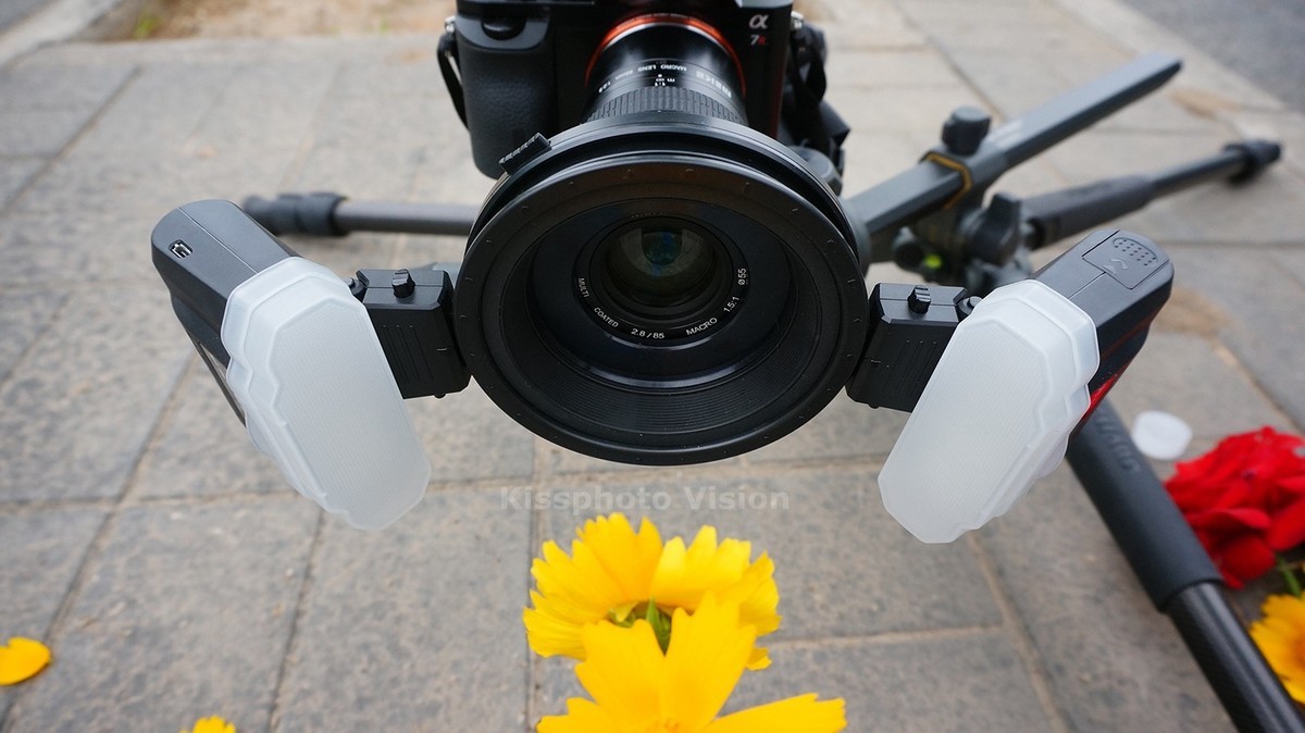 玩出微距新高度—美科MK-MT24閃光燈體驗(yàn)