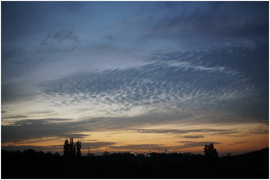 精細調(diào)焦與馥郁色彩 美科25mm f1.8鏡頭評測