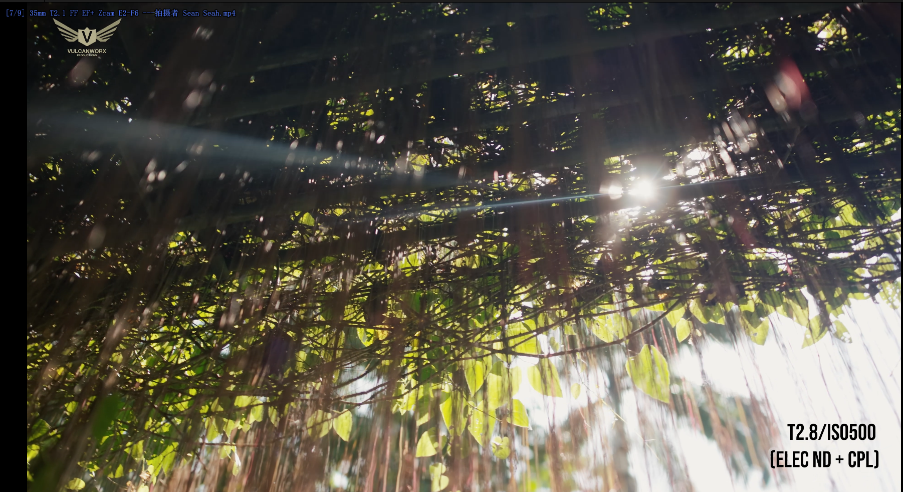 35mm T2.1 FF EF+ Zcam E2-F6 ---拍攝者 Sean Seah